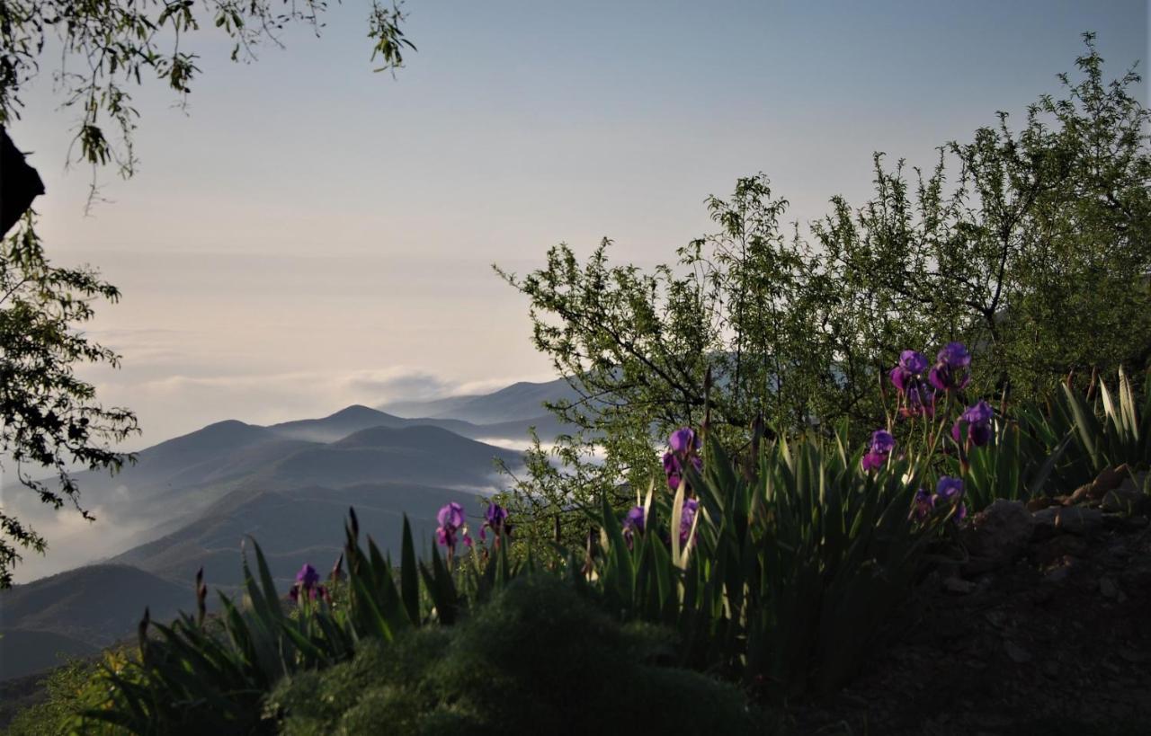 Cortijo Los Maximos Turon Buitenkant foto