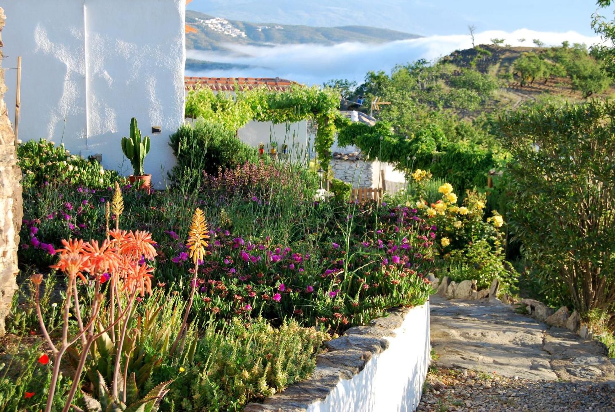 Cortijo Los Maximos Turon Buitenkant foto