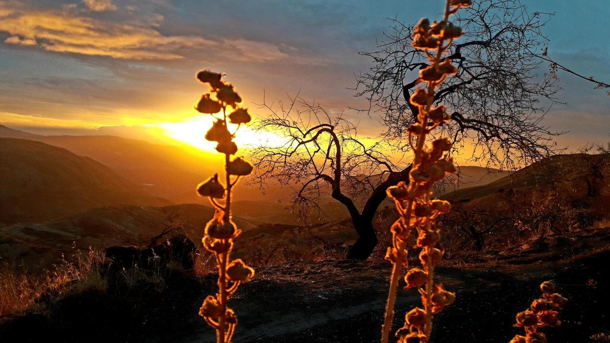 Cortijo Los Maximos Turon Buitenkant foto