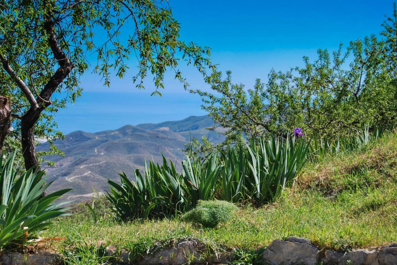 Cortijo Los Maximos Turon Buitenkant foto